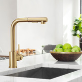 Braxton Home Galen Pull-Out Kitchen Sink Mixer