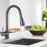Braxton Home Leland Pull-Out Kitchen Sink Mixer