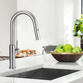 Braxton Home Bowen Pull-Out Kitchen Sink Mixer