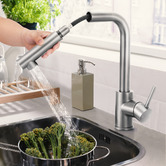 Braxton Home Galen Pull-Out Kitchen Sink Mixer