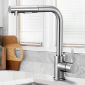 Braxton Home Galen Pull-Out Kitchen Sink Mixer