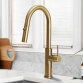 Braxton Home Bowen Pull-Out Kitchen Sink Mixer