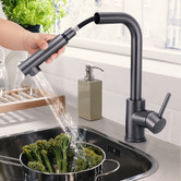 Braxton Home Galen Pull-Out Kitchen Sink Mixer