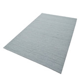 Boulevarde Rugs Platinum Sedric Hand-Woven Indoor/Outdoor Rug