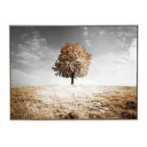 Arte Eleve One Tree Hill Framed Canvas Wall Art