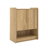 Luna Co. Cline Shoe Cabinet