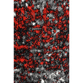 Rug Destination Red Marsden Power-Loomed Rug