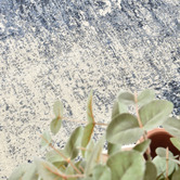 Rug Destination Blue Zayne Contemporary Rug