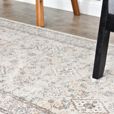 Rug Destination Bristol Haze Traditional Rug