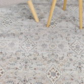 Rug Destination Bristol Haze Traditional Rug