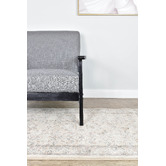 Rug Destination Bristol Haze Traditional Runner