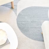 Rug Destination Analise Contemporary Rug