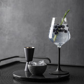 Villeroy and Boch Rock 380ml Crystal White Wine Glasses