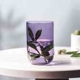 Villeroy and Boch Like 385ml Highball Glasses