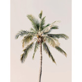 Kayla Bay by Temple &amp; Webster Coco Loco Canvas Wall Art