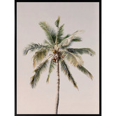 Kayla Bay by Temple &amp; Webster Coco Loco Canvas Wall Art