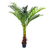Belmot Living 180cm Potted Faux Phoenix Palm Tree