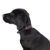 Mog &amp; Bone Leather &amp; Cotton Rope Dog Collar