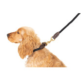 Mog &amp; Bone 120cm Classic Leather &amp; Cotton Rope Dog Lead