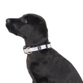 Mog &amp; Bone Grey Check Dog Collar