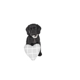 Mog &amp; Bone Check Cotton Heart-Shaped Pet Toy