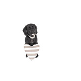 Mog &amp; Bone Hamptons Stripe Cotton Heart-Shaped Pet Toy