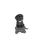 Mog &amp; Bone Black Metallic Cross Cotton Bone-Shaped Pet Toy
