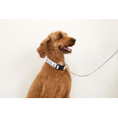 Mog &amp; Bone Shadow Quartz Hemp Dog Collar