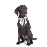 Mog &amp; Bone Pebble Brush Dog Bandana
