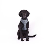 Mog &amp; Bone Chequered Neoprene Dog Harness