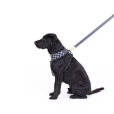 Mog &amp; Bone Chequered Neoprene Dog Harness