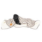 Mog &amp; Bone Hamptons Stripe Fleece Dog Blanket
