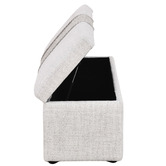 Palmgrove Lane Chrysa Storage Ottoman Bench
