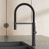 Phoenix Tapware Prize Flexible Kitchen Sink Mixer