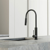 Phoenix Tapware Deja Pull-Out Kitchen Sink Mixer