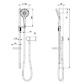 Phoenix Tapware NX Vive Rail Shower