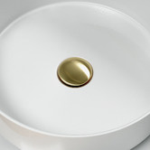 Phoenix Tapware 32-40mm Dome Brass Universal Pop-Up Waste
