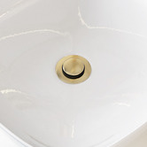 Phoenix Tapware Phoenix 32mm Brass Universal Pop-Up Waste