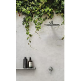 Phoenix Tapware Vivid Slimline SS 250mm Stainless Steel Shower Arm &amp; Head
