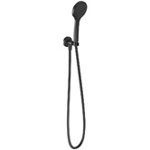 Phoenix Tapware Pina Hand-held Shower