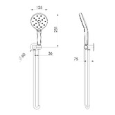 Phoenix Tapware Oxley Hand-held Shower