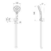 Phoenix Tapware Ormond Hand-held Shower