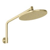 Phoenix Tapware Ormond 250mm Shower Arm &amp; Head