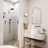 Phoenix Tapware Ormond Hand-held Shower