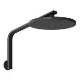 Phoenix Tapware Oxley 250mm Shower Arm &amp; Head