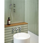 Phoenix Tapware NX Vive Hand-Held Shower