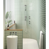 Phoenix Tapware NX Vive Hand-Held Shower