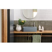Phoenix Tapware Vivid Slimline Curved Basin Mixer