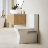 Nueva Bathware Enox Rimless Back-To-Wall Toilet Suite