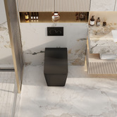 Nueva Bathware Enox Rimless Wall Faced Toilet Pan